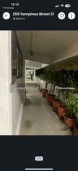 Blk 259 Tampines Street 21 (Tampines), HDB 4 Rooms #541993981
